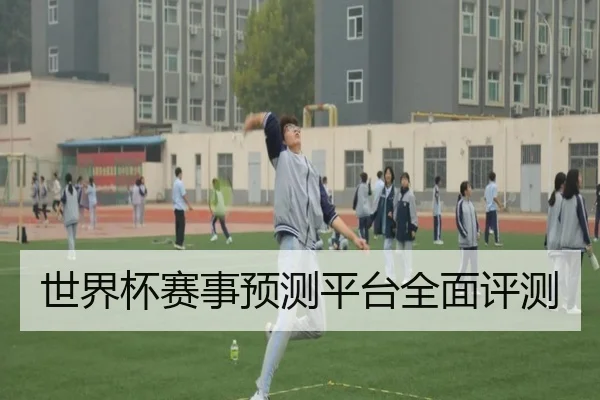世界杯赛事预测平台全面评测