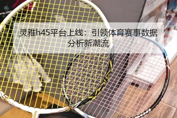 灵雅h45平台上线：引领体育赛事数据分析新潮流