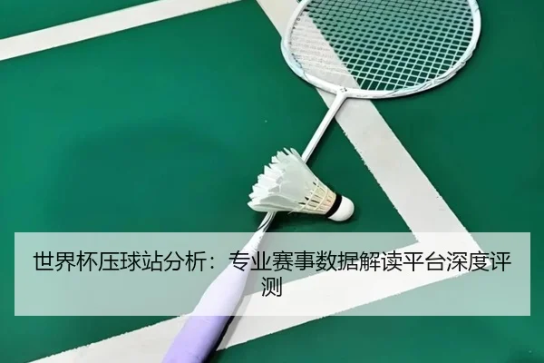 世界杯压球站分析：专业赛事数据解读平台深度评测