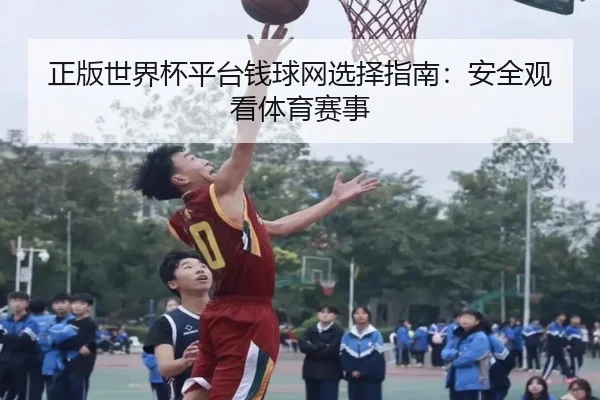 正版世界杯平台钱球网选择指南：安全观看体育赛事